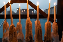 BlueCareVenice-20